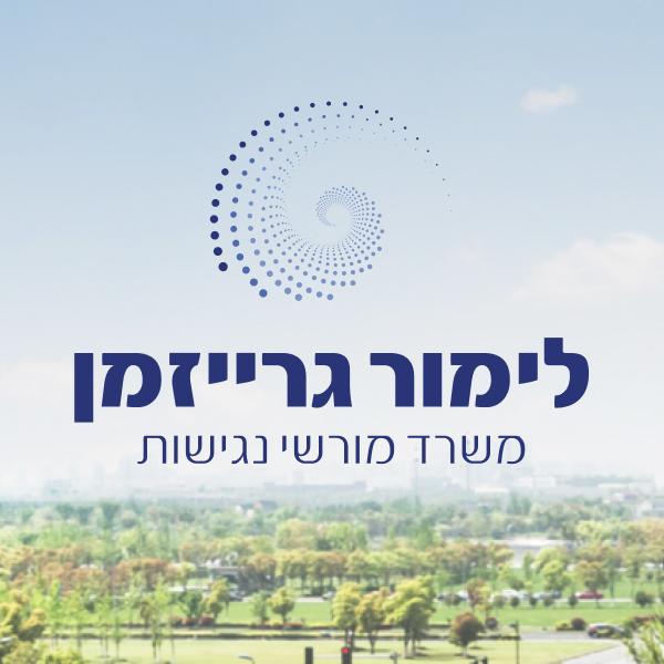 הקמת אתר תדמיתי - יועצת נגישות לימור גרייזמן
