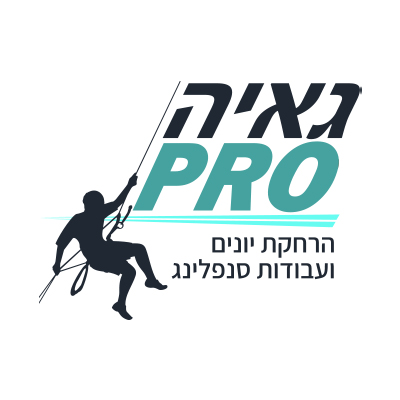 קידום אתרים בגוגל - גאיה פרו